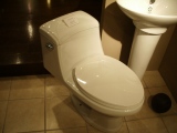 toilet.jpg