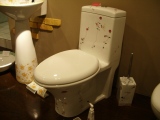 toilet3.jpg
